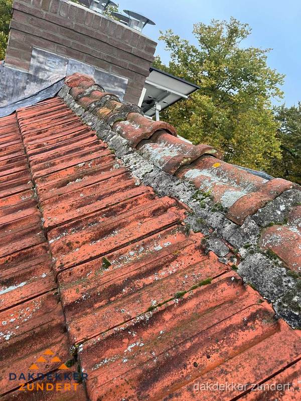 Verweerd hellend dak met mosgroei op nokvorst in Zundert Verweerd hellend dak met mosgroei op nokvorst in Zundert