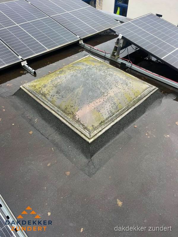 Vervuilde lichtkoepel op plat dak met zonnepanelen in Zundert Vervuilde lichtkoepel op plat dak met zonnepanelen in Zundert