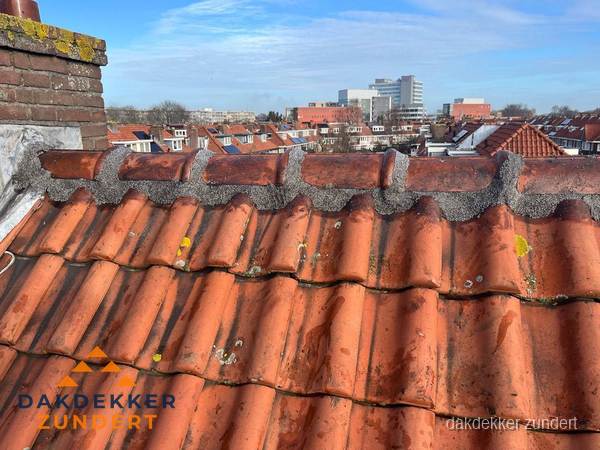 Pannendak met nokvorst en schoorsteen, dakrenovatie in Zundert Pannendak met nokvorst en schoorsteen, dakrenovatie in Zundert