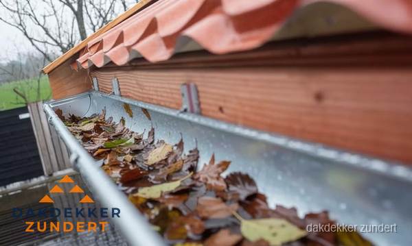 Dakgoot vol bladeren die gereinigd moet worden in Zundert