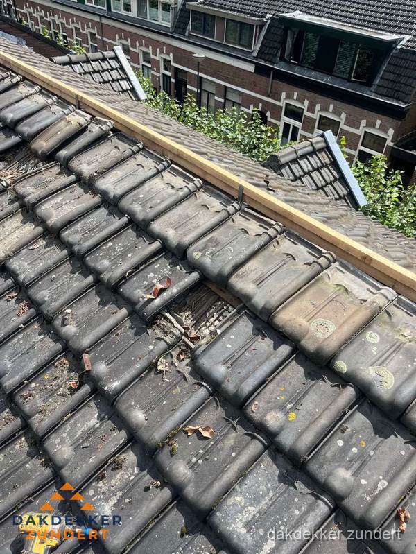 Dakonderhoud aan schuin pannendak met nokvernieuwing in Zundert