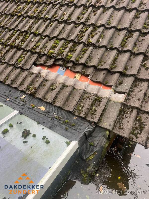 Beschadigd pannendak met ontbrekende dakpannen voor reparatie in Zundert Beschadigd pannendak met ontbrekende dakpannen voor reparatie in Zundert